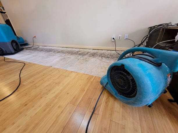 Professional Water Extraction technician working in Hampton Falls, NH
